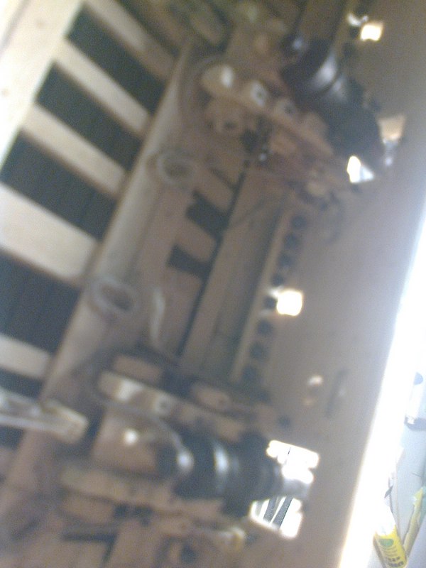 comp_Foto1435.jpg