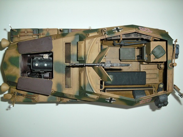 comp_DSCI0388.jpg